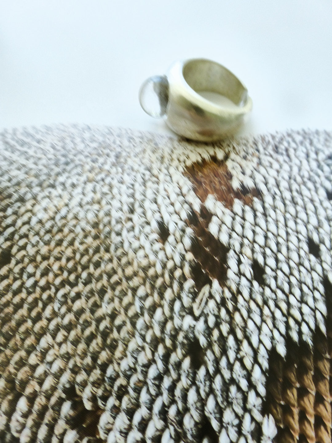 Himāl Ring