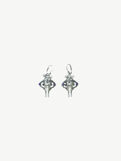 Clear Pelvis Earring