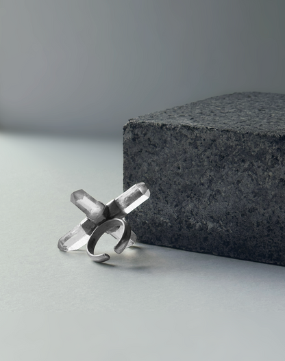Ice cross ring